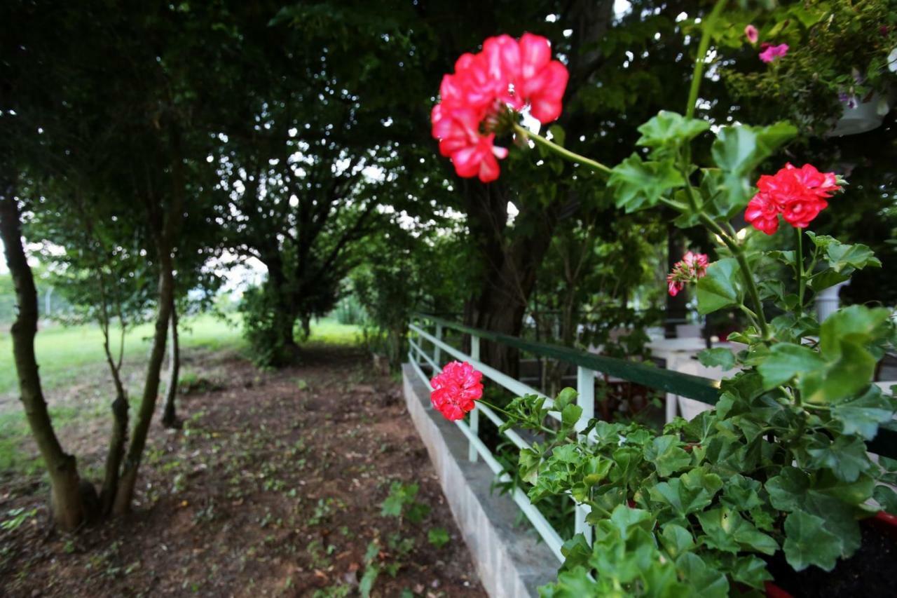 Olympia'S Country Home Polistilon Dış mekan fotoğraf